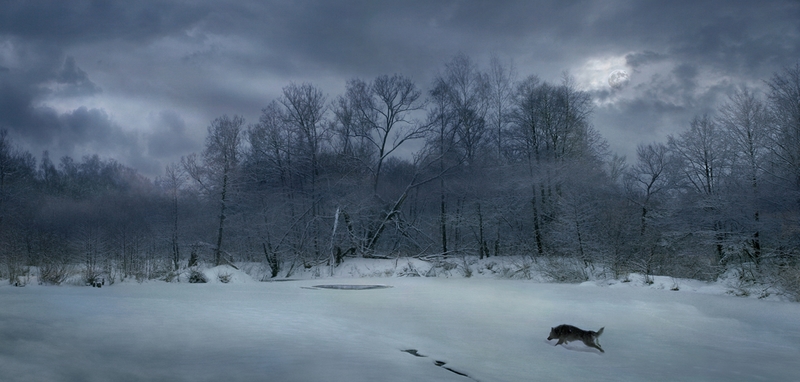 985 - NIGHT OF THE WOLF - PROSHIN VLADIMIR - russian federation.jpg